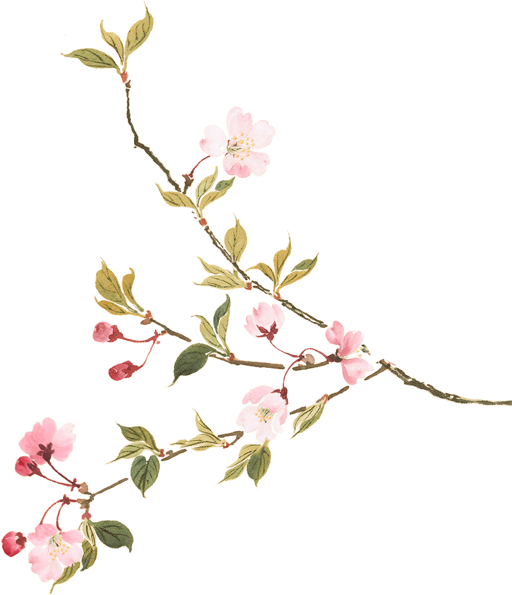 ピンクの花の枝の画像