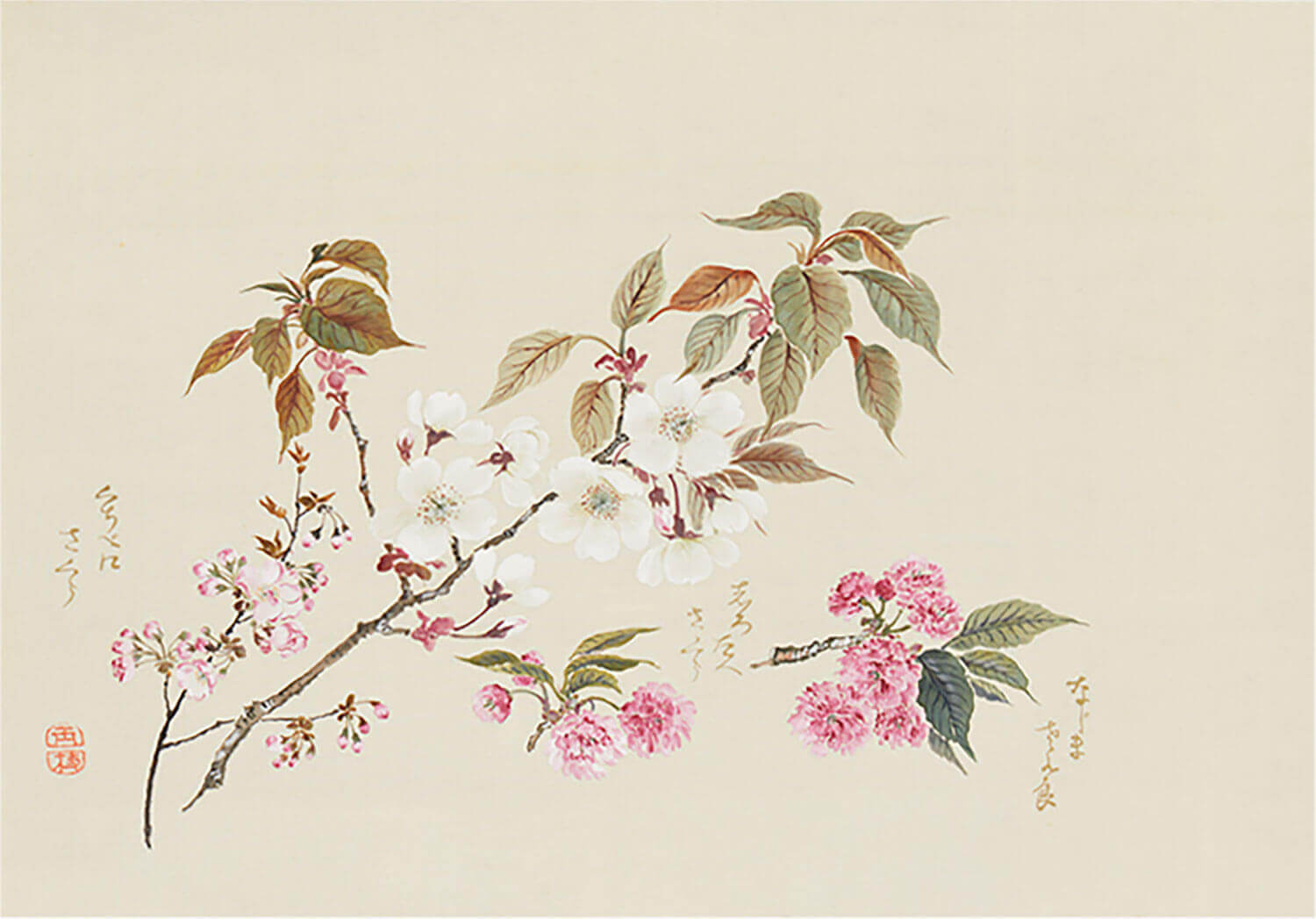 跡見玉枝《桜花図巻》画像