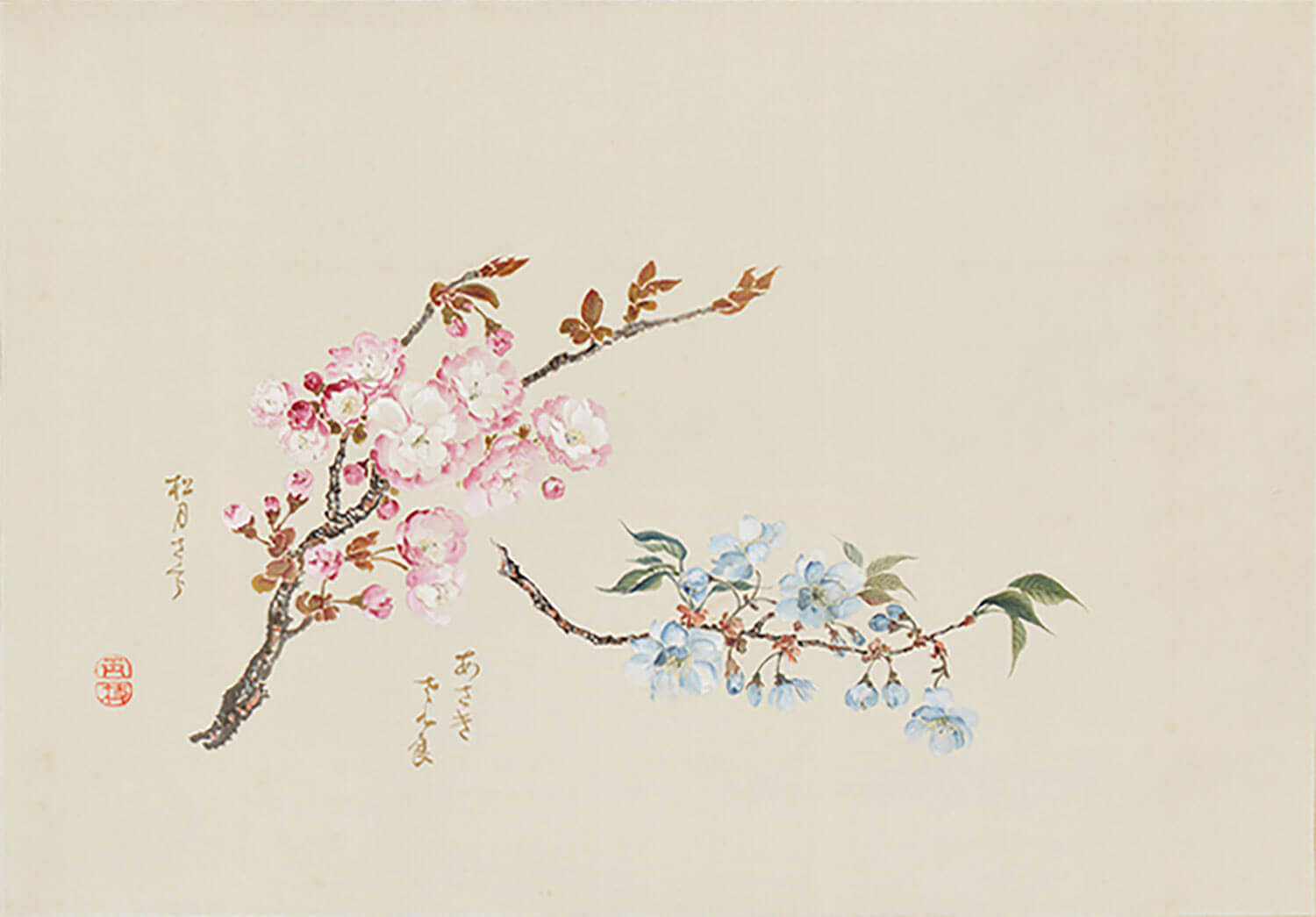跡見玉枝《桜花図巻》画像