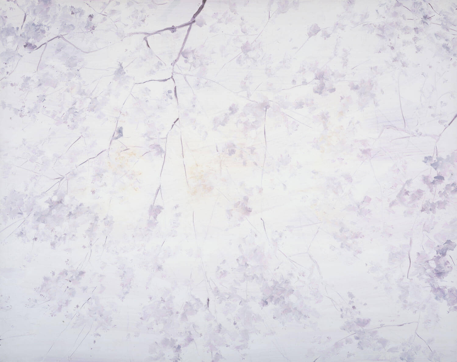 児玉靖枝《ambient light - sakura》画像